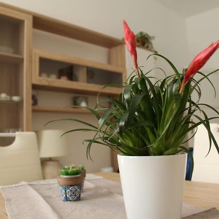 Ohana: Casa Nel Centro Di Lecce Exterior photo